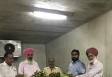 Punjab Fruit markets