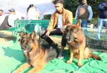 Dog Show Organized at Science City