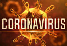 Suspected Coronavirus Case Reported in Chandigarh