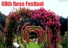48th Rose Festival Starts Today for Three Days