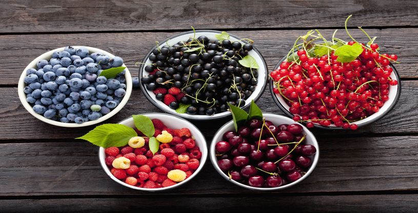 Uses of Berries
