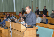 Himachal Budget Rs 100 crore skill development allowance for jobless youth