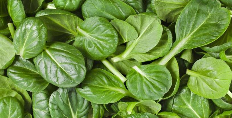 Spinach in Diet
