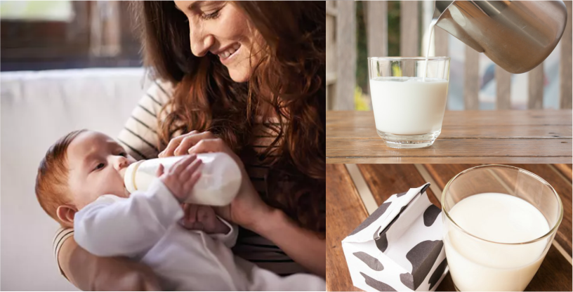 From what age and how should the infant feed cow's milk