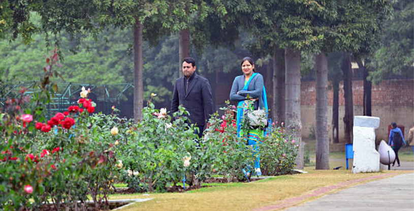Rose Garden of Chandigarh