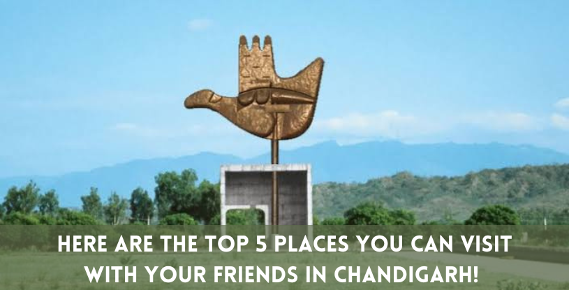 Top 5 Places in Chandigarh