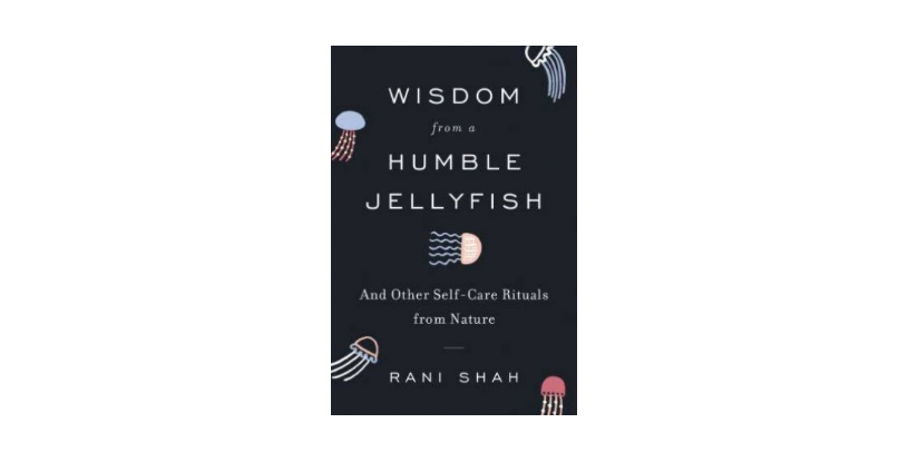 Wisdom from a Humble Jellyfish, Rani Shah